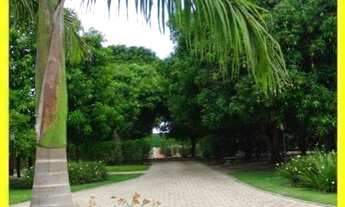 Imagem 5: SITIO RURAL em CONCHAL - SP, CONCHAL