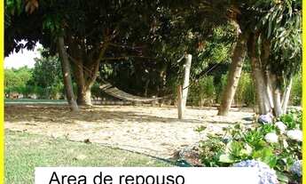 Imagem 4: SITIO RURAL em CONCHAL - SP, CONCHAL