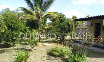 Imagem: PALMITAL - CHÁCARA A VENDA