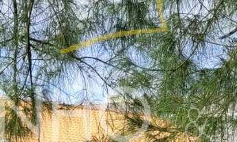 Imagem: TERRENO PREMIUM NO BAIRRO FOGUETE EM CABO