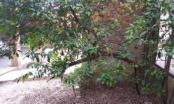 Imagem 3: CHACARA TEMPORADA em Indaiatuba - SP, Recando Internacional Viracopos gleba-4