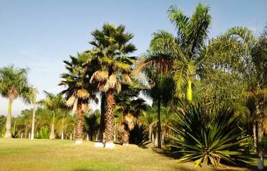 Imagem 6: SITIO RURAL em RAFARD - SP, RURAL