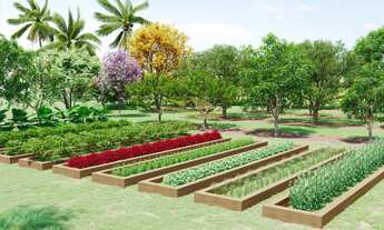 Imagem 3: TERRENO EM CONDOMINIO RESIDENCIAL em MONTE MOR - SP, Monte Mor