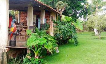 Imagem 3: CHACARA RESIDENCIAL em ELIAS FAUSTO - SP, elias