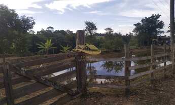 Imagem 2: SITIO RURAL em ELIAS FAUSTO - SP, Centro