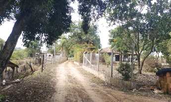 Imagem 6: SITIO RURAL em ELIAS FAUSTO - SP, Centro