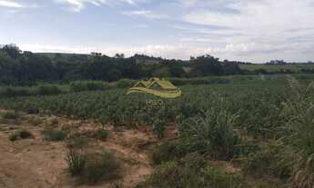 Imagem 7: SITIO RURAL em ELIAS FAUSTO - SP, Centro