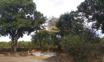 Imagem 3: SITIO RURAL em ELIAS FAUSTO - SP, Centro