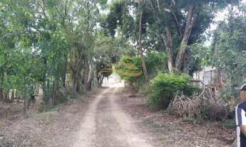 Imagem: SITIO RURAL em ELIAS FAUSTO - SP, Centro