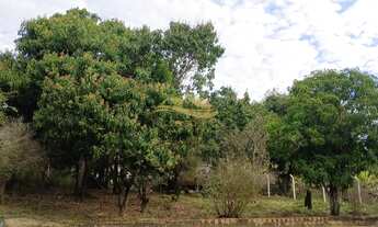 Imagem 7: SÍTIO EM APARECIDA DO TABOADO