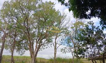 Imagem 3: SÍTIO EM APARECIDA DO TABOADO