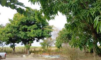 Imagem 4: SÍTIO EM APARECIDA DO TABOADO