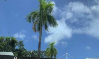 Imagem 2: TERRENO RESIDENCIAL em SALVADOR - BA, ALPHAVILLE I