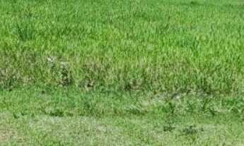 Imagem 5: TERRENO RESIDENCIAL em ITUPEVA - SP, VILLAGE AGUAS DE SANTA ELISA