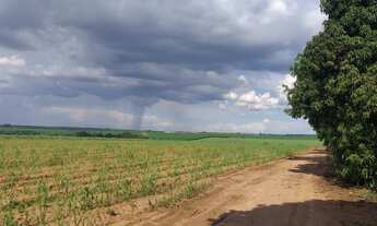 Imagem: SITIO RURAL em SANTA BÁRBARA DOESTE