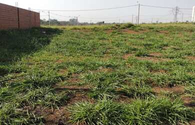 Imagem 3: TERRENO COMERCIAL em SANTA BÁRBARA DOESTE - SP, CIDADE NOVA II