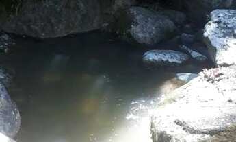 Imagem 5: SITIO RURAL em RIO DE JANEIRO - RJ, GUARATIBA