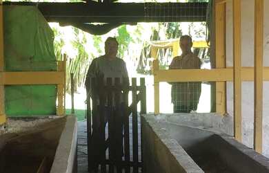 Imagem 6: SITIO RURAL em Rio de Janeiro - RJ, Guaratiba