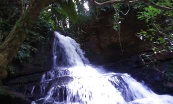 Imagem: SITIO RESIDENCIAL em Jacarepaguá - RJ