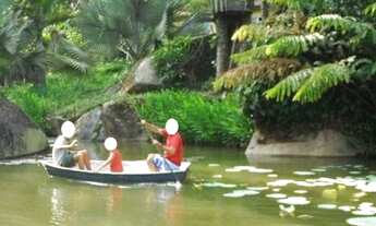 Imagem 3: MARAVILHOSO TERRENO EM VARGEM PEQUENA