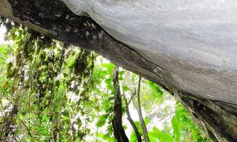 Imagem 6: MARAVILHOSO TERRENO EM VARGEM PEQUENA