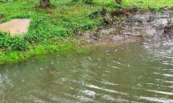 Imagem 4: CHACARA RESIDENCIAL em TIJUCAS DO SUL - PR, Tijucas do Sul