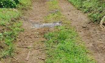 Imagem 6: CHACARA RESIDENCIAL em TIJUCAS DO SUL - PR, Tijucas do Sul