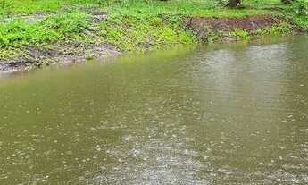 Imagem 7: CHACARA RESIDENCIAL em TIJUCAS DO SUL - PR, Tijucas do Sul