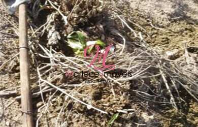 Imagem 3: TERRENO RESIDENCIAL em JARINU - SP, CHÁCARAS UVALÂNDIA