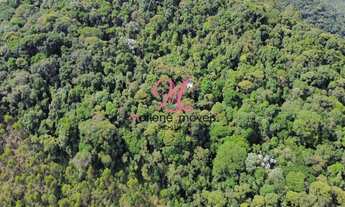 Imagem 2: Oportunidade Única: Área para Venda na Chácara São João, Campo Limpo Paulista-SPÁrea de 8