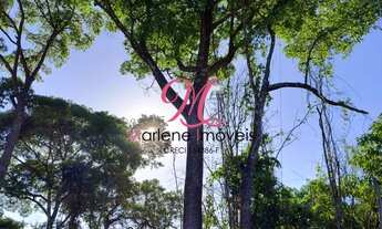 Imagem 7: TERRENO RESIDENCIAL em FRANCISCO MORATO - SP, MOINHO