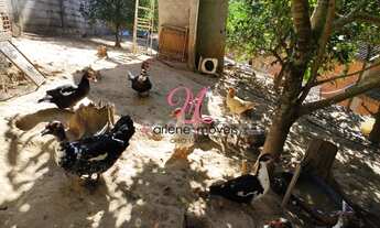 Imagem 5: CHACARA RESIDENCIAL em CAMPO LIMPO PAULISTA - SP, ESTÂNCIA FIGUEIRA BRANCA