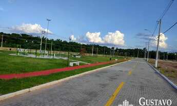 Imagem 2: Terrenos - Varjão