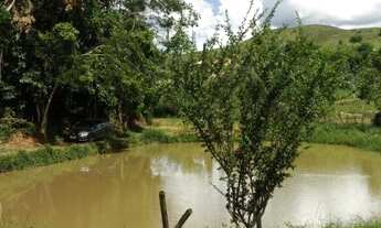 Imagem: Lote - Pinheiral