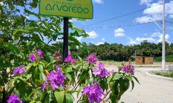 Imagem 7: Terrenos - Varjão