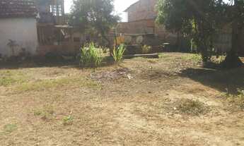 Imagem 4: Terreno - Califórnia