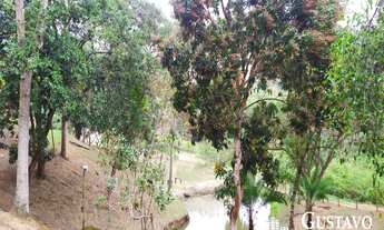 Imagem 2: Chácara - Pinheiral