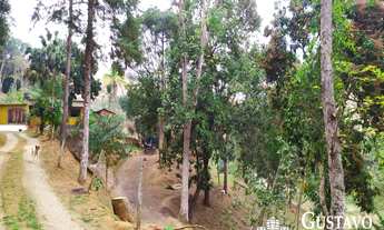 Imagem 3: Chácara - Pinheiral