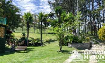 Imagem: Sítio - Arrozal