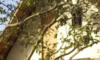 Imagem: Chácara - Barra do Piraí