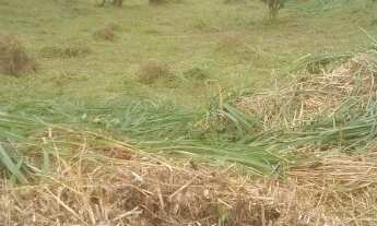 Imagem: Terreno - Village Santa Helena