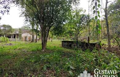 Imagem 7: Chacara - São José do Turvo