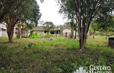 Imagem 6: Chacara - São José do Turvo