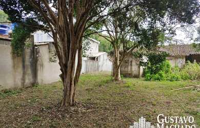 Imagem 4: Chacara - São José do Turvo