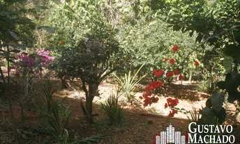 Imagem 6: Casa - Vista Verde