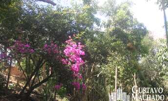 Imagem 7: Casa - Vista Verde