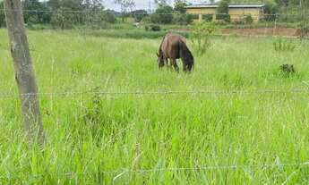 Imagem 3: Terreno - Vargem Alegre
