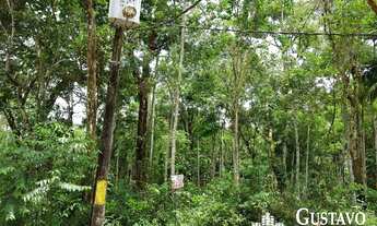 Imagem 2: Terreno - Penedo