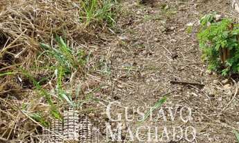 Imagem 3: Terreno- Morada da Colina