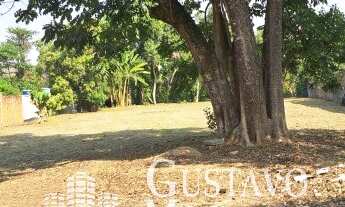 Imagem 3: Terreno - São Luís